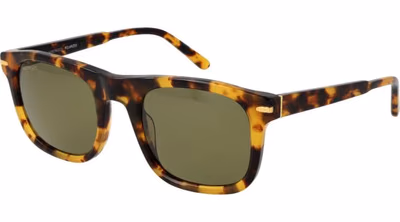 Brown Acetate Sunglasses