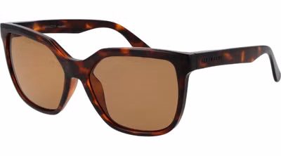Brown  Sunglasses