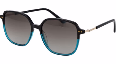 Black Plastic Sunglasses