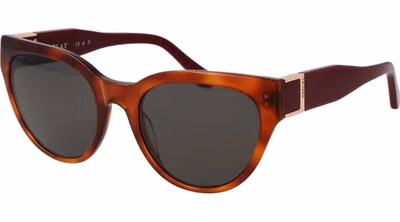 Brown Plastic Sunglasses