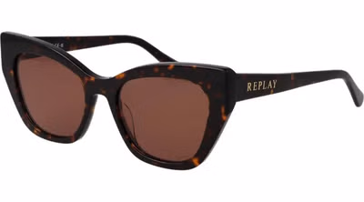 Brown Plastic Sunglasses