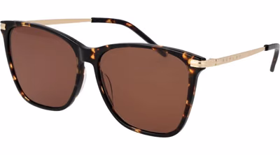 Bicolor Plastic Sunglasses