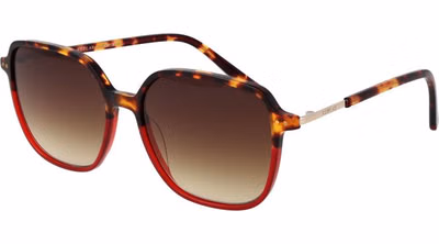 Multicolor Plastic Sunglasses