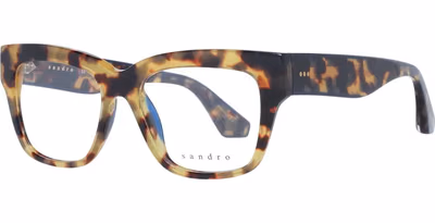 Brown Plastic Glasses (Frames)