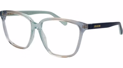 Blue Plastic Glasses (Frames)