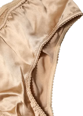 Beige Silk Stretch Mid Waist Brief Panty Underwear