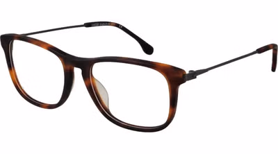 Brown Metal Glasses (Frames)
