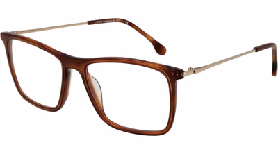 Brown Metal Glasses (Frames)