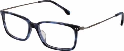 Blue Stainless Steel Glasses (Frames)