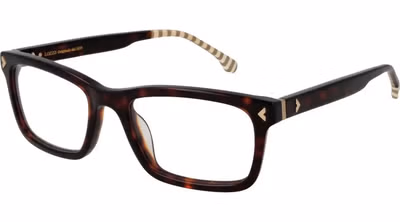 Brown Cellulose Acetate Glasses (Frames)