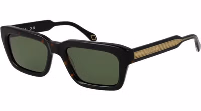 Black Acetate Sunglasses