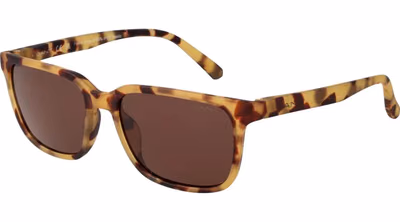 Multicolor Plastic Sunglasses