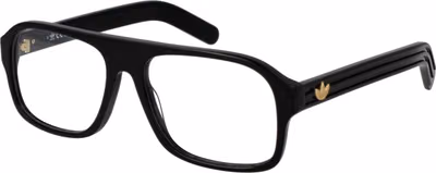 Black Plastic Glasses (Frames)
