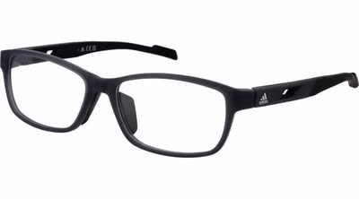 Gray Plastic Glasses (Frames)