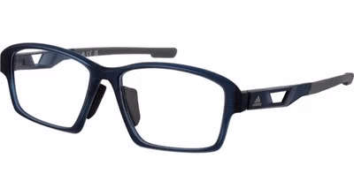 Blue Plastic Glasses (Frames)