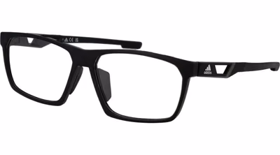 Black Plastic Glasses (Frames)