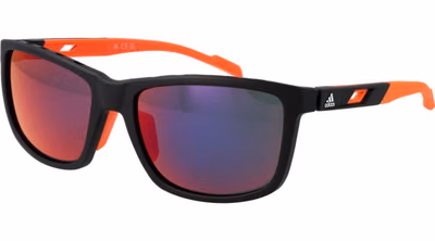 Black Plastic Sunglasses