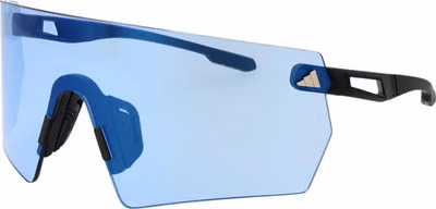 Black Plastic Sunglasses