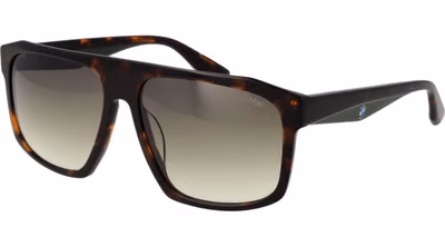 Brown Plastic Sunglasses