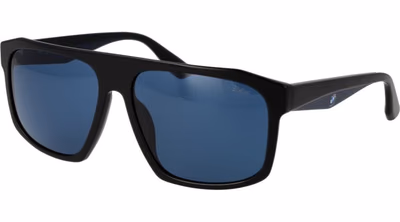 Black Plastic Sunglasses