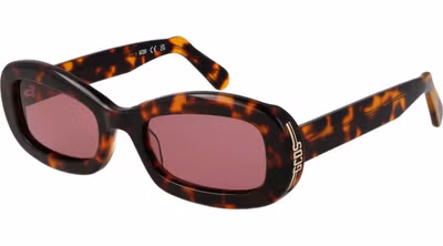 Brown Plastic Sunglasses