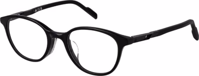 Black Plastic Glasses (Frames)