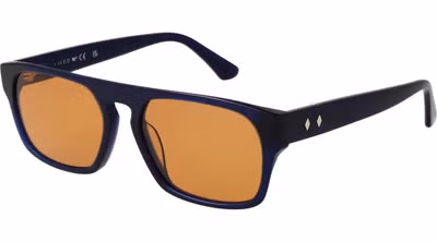 Blue Plastic Sunglasses