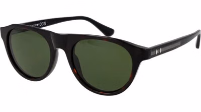 Brown Plastic Sunglasses