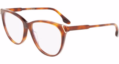 Brown Plastic Glasses (Frames)