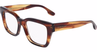 Brown Plastic Glasses (Frames)