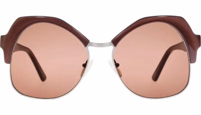 Brown Metal & Plastic Sunglasses