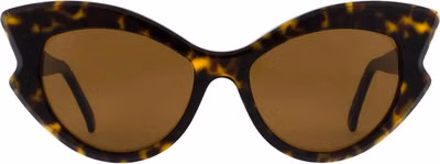 Brown Acetate Sunglasses
