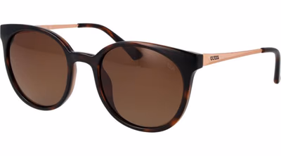Brown Plastic Sunglasses