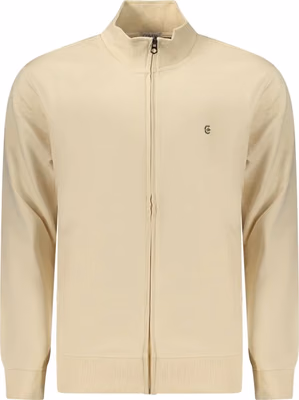 Beige Cotton Men's Sweatshirt