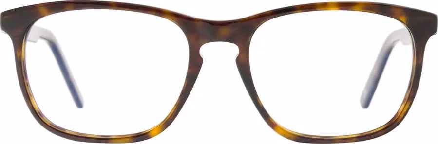 Andy Wolf Brown Acetate Glasses (Frames)