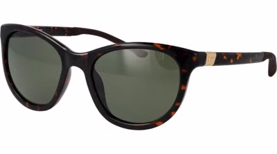 Brown Plastic Sunglasses