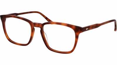 Brown Acetate Glasses (Frames)