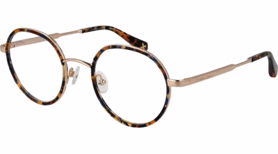 Gold Metal & Plastic Glasses (Frames)