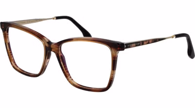 Brown Metal & Plastic Glasses (Frames)