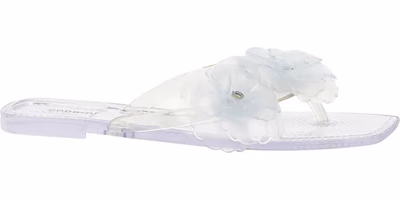 Transparent Pvc Slides