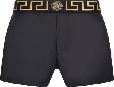 Multicolor Polyester Swim Shorts