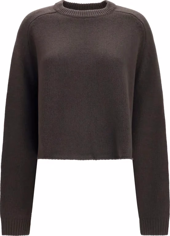 Lisa Yang Brown Cashmere Sweater