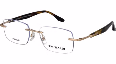 Gold Stainless Steel Glasses (Frames)