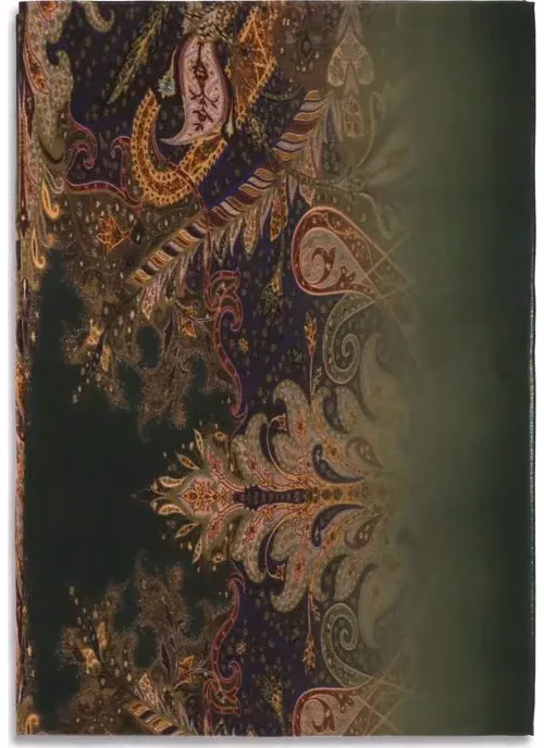 Etro Multicolor Modal Scarf