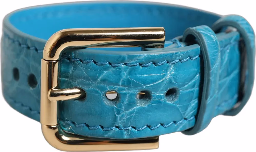Dolce & Gabbana Turquoise Texture Leather Gold Buckle Belt Strap Bracelet