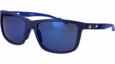 Blue Plastic Sunglasses
