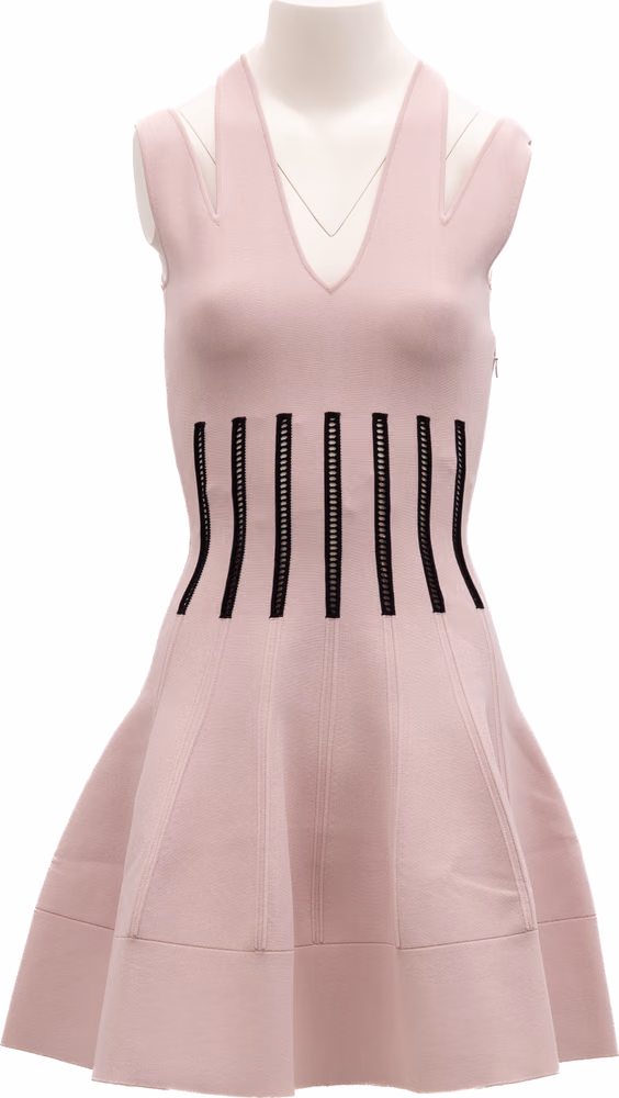 Alexander McQueen Pink Women Viscose Dress