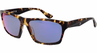 Brown Acetate Sunglasses