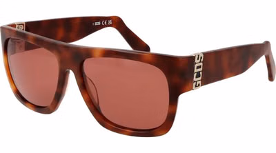 Brown Acetate Sunglasses
