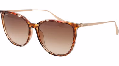 Brown Plastic Sunglasses